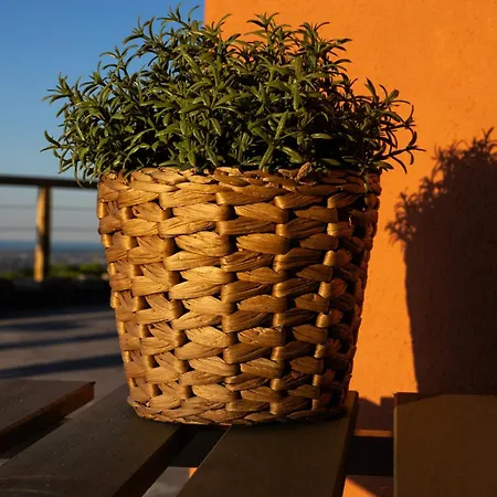 Il Tramonto Roncofreddo