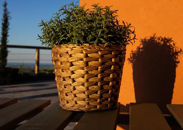 Il Tramonto - Deluxe Roncofreddo